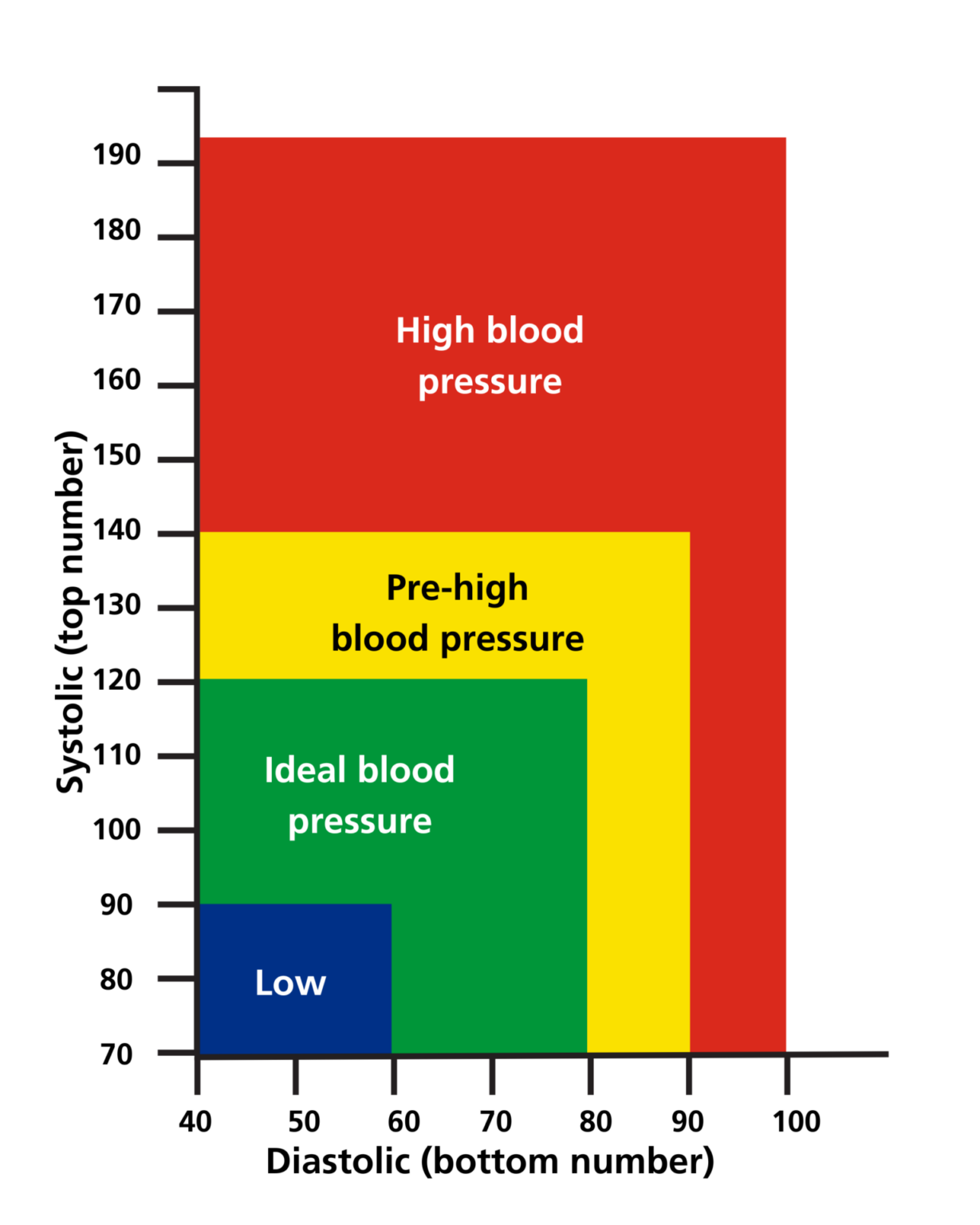 blood-pressure-our-somerset