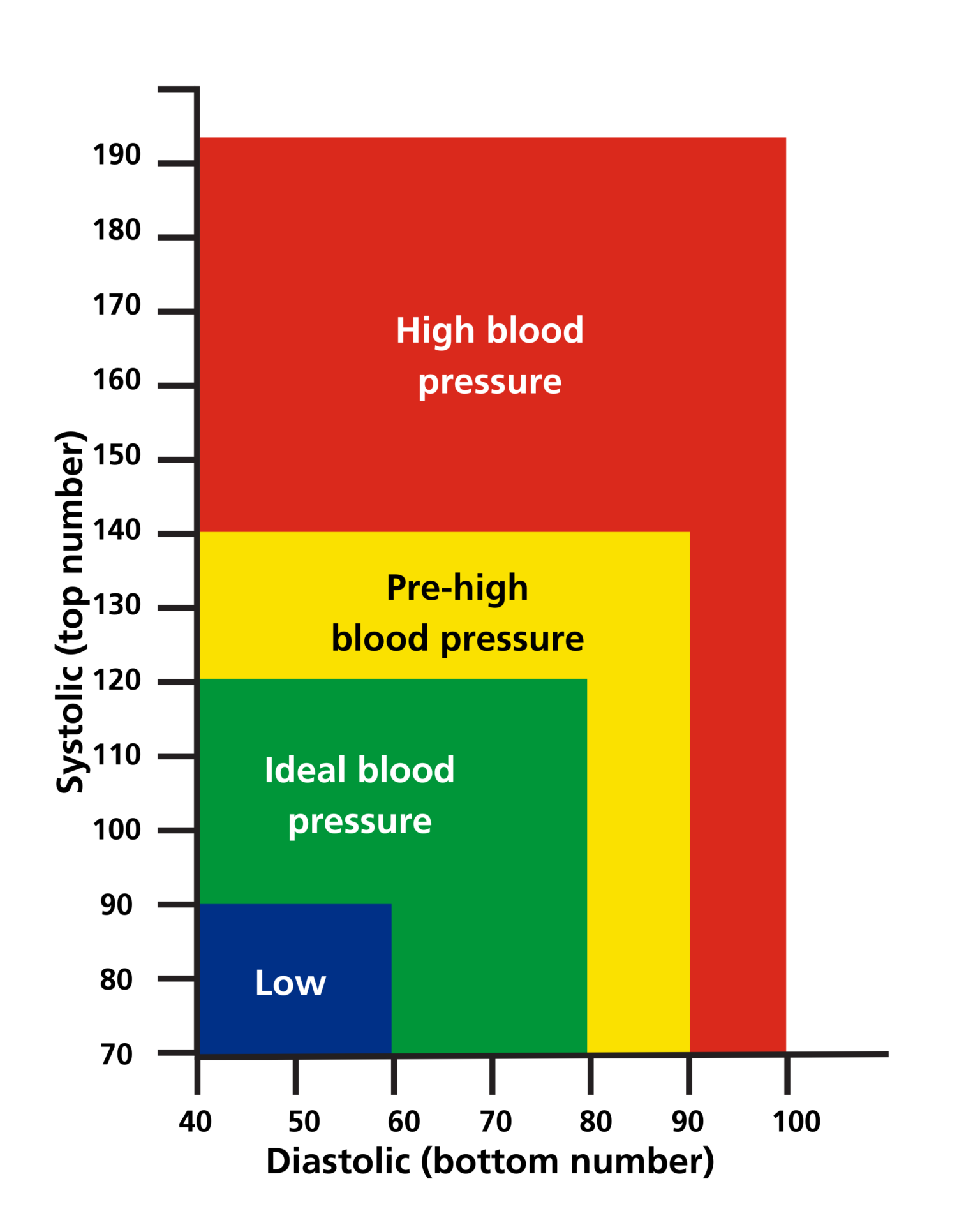 Easy Blood Pressure Chart With Morning and Afternoon Readings