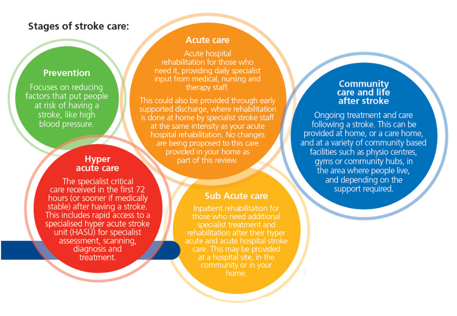 Stroke stages infographic
